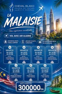 رحلة-سياحية-voyage-organise-combine-kuala-lumpur-langkawi-pour-le-mois-septembre-aout-a-partir-de-300000da-بئر-مراد-رايس-الجزائر