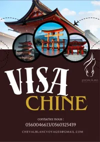 VISA CHINE 