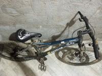 Velo jdida maxstar 24