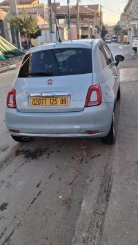 سيارات-fiat-500-2025-dolcevita-mib-البليدة-الجزائر