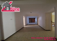 appartement-location-f4-annaba-algerie