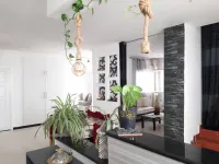 Vente Appartement F4 Blida Blida