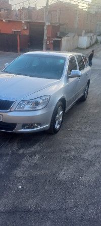 voitures-skoda-octavia-2013-break-les-eucalyptus-alger-algerie