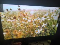 تلفاز   ستريم  50  بوس