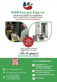 Etude, Expertise et maintenance électrique 