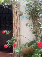 nettoyage-jardinage-societe-de-a-alger-multilines-centre-algerie