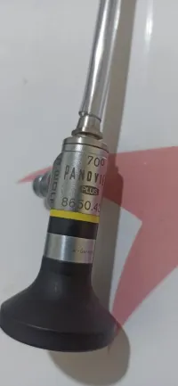 Optique d'endoscope panview