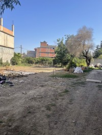أرض-بيع-الجزائر-أولاد-الشبل