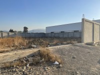 أرض-كراء-الجزائر-أولاد-الشبل