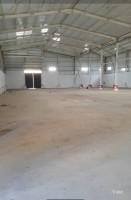 hangar-location-blida-beni-tamou-algerie