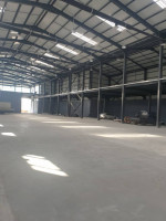 hangar-cherche-location-alger-oued-smar-algerie