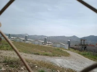 Vente Terrain Alger Tessala el merdja