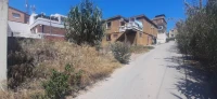 Vente Terrain Alger El achour