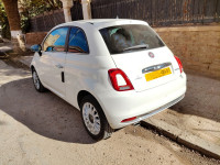 voitures-fiat-500-2024-dolcivita-saida-algerie