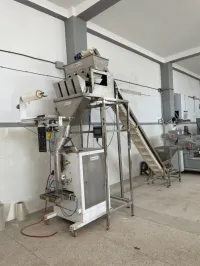 Usine de pâte et couscous 