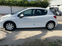 voitures-peugeot-207-2012-les-eucalyptus-alger-algerie