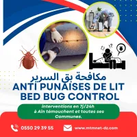 Extermination des punaises de lit بق الفراش à ain témouchent 