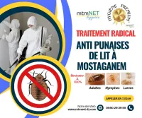 Extermination des punaises de lit بق الفراش à mostaganem 