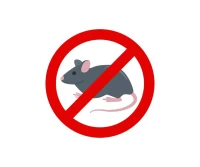 Dératisation anti souris et rats