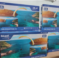 ecrans-plats-tv-geant-32p-slim-hd-alger-centre-algerie