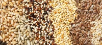 Superaliments : Guarana-Baobab -Acaï- Maca-Goji-Spiruline-Propolis-Matcha + سوبرفوود-منتوجات متعددة 