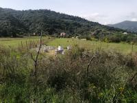 terrain-vente-jijel-djemaa-beni-habibi-algerie