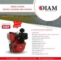 Diesel engine Single cylinder air cooling