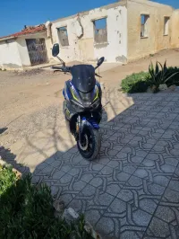 vms vms 2021