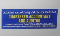 Chartered Accountant and Auditor - Accounting, Audit, Training and Consulting Services