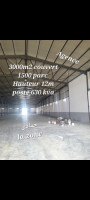 hangar-location-boumerdes-hammedi-algerie