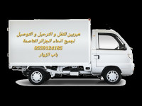 transport-et-demenagement-herbine-avec-chauffeur-pour-livraison-deplacement-bab-ezzouar-alger-algerie