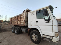 camion-howo-sinotruck-2007-miliana-ain-defla-algerie