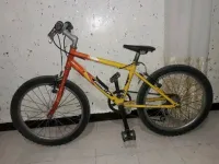 Vélo 20 pouces