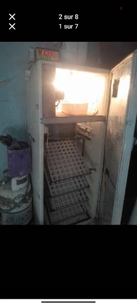 فقاسة البيض للبيع المههتم يتصل 