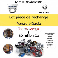 pieces-moteur-lot-piece-de-rechange-renault-es-senia-oran-algerie