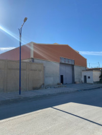 hangar-location-tebessa-algerie