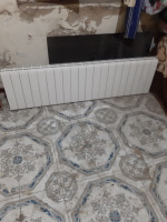 autre-radiateur-et-seche-linge-pour-chauffage-central-sidi-mhamed-alger-algerie