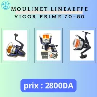 Moulinet Surfcasting Leneaeffe Vigor 