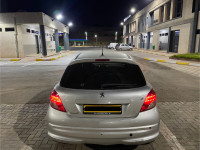 voitures-peugeot-207-2011-active-chlef-algerie