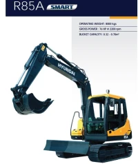 Hyundai PELLE 8 TONNES 2024
