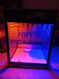 آخر-popcorn-أم-البواقي-الجزائر