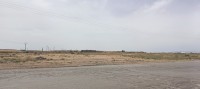 terrain-agricole-vente-msila-ouled-mansour-algerie