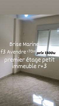 appartement-vente-f3-alger-bordj-el-bahri-algerie