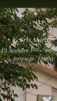 appartement-vente-f3-alger-bordj-el-bahri-algerie