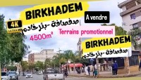 أرض-بيع-الجزائر-بئر-خادم