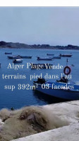 terrain-vente-alger-bordj-el-bahri-algerie