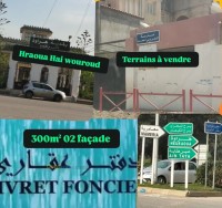 terrain-vente-alger-hraoua-algerie