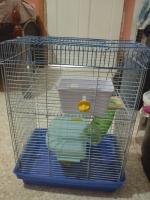 accessoire-pour-animaux-cages-a-hamsters-akbou-bejaia-algerie