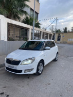 voitures-skoda-fabia-2013-fresh-boufarik-blida-algerie