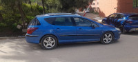 voitures-peugeot-407-sw-2007-el-ouinet-medea-algerie